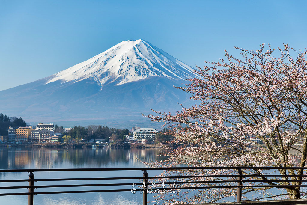 逆富士,逆さ富士,富士山,河口湖,山梨.富士山河口湖.富士山倒影,fuji,Upside down Fuji,Inverted Fuji,mt fuji
