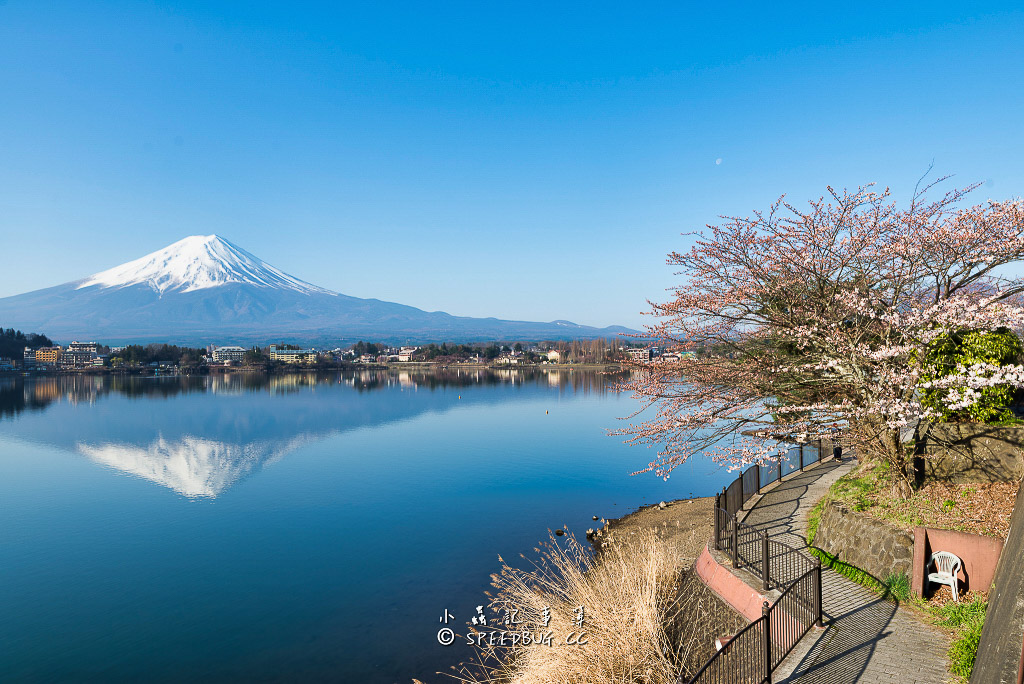 延伸閱讀：山梨｜河口湖晨光．櫻花與逆富士．令人讚嘆的富士山美景