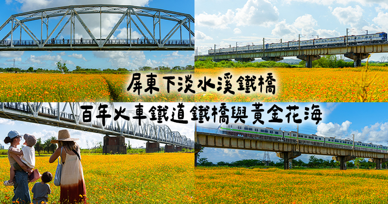 延伸閱讀：屏東｜下淡水溪舊鐵橋．黃金波斯菊花海與百年火車舊鐵橋同框